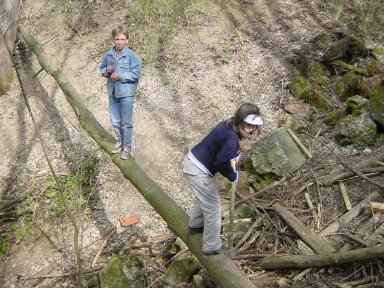 schlucht02.jpg (45891 Byte)