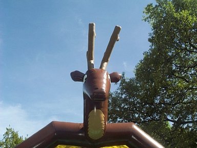 hupfhirsch.jpg (27950 Byte)