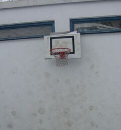 basketball.jpg (9953 Byte)