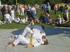 judo2.jpg (54405 Byte)