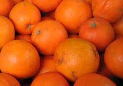 orangen.jpg (15745 Byte)