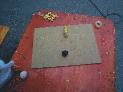 pokemonanim_2.gif (320247 Byte)