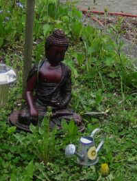 budda.jpg (28516 Byte)