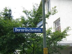 dornroeschenstrschild.jpg (15123 Byte)