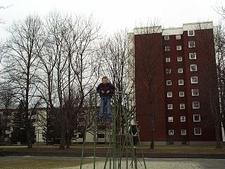 ameisenspielplatz1.jpg (24949 Byte)