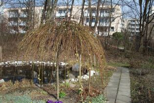 garten01.jpg (24821 Byte)