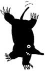 Mauli_handstand.jpg (2283 Byte)