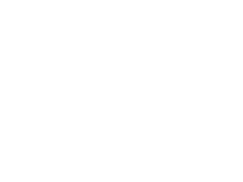 seehund.gif (4221349 Byte)