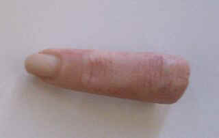 finger.jpg (9200 Byte)