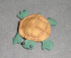 02schildkroete.jpg (9690 Byte)