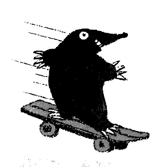 skatermauli.jpg (64598 Byte)